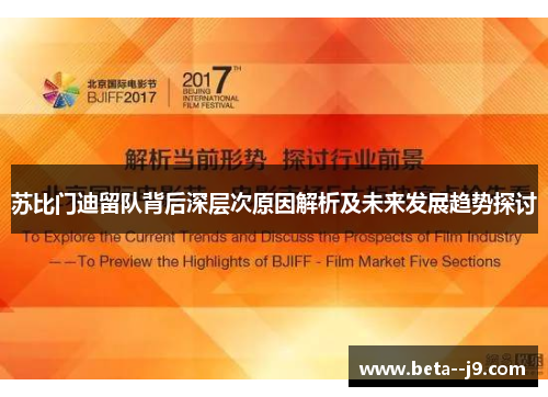 苏比门迪留队背后深层次原因解析及未来发展趋势探讨