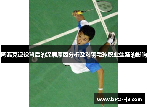 陶菲克退役背后的深层原因分析及对羽毛球职业生涯的影响