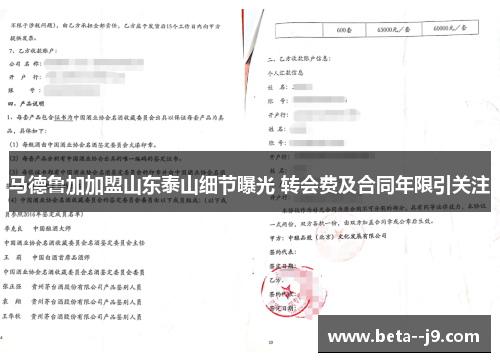 马德鲁加加盟山东泰山细节曝光 转会费及合同年限引关注